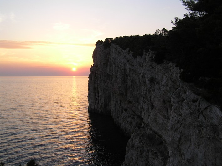 Telascica